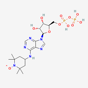 molecular formula C19H31N6O11P2 B1230083 6-(2,2,6,6,-Tetramethylpiperidine-1-oxyl)-adenosine diphosphate CAS No. 61468-67-5
