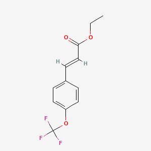 molecular formula C12H11F3O3 B12304206 Ethyl (E)-3-(4-(trifluoromethoxy)phenyl)acrylate 