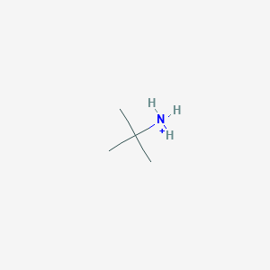 molecular formula C4H12N+ B1230491 Tert-butylammonium 