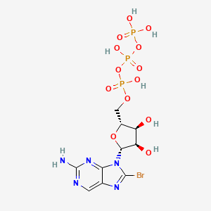 molecular formula C10H15BrN5O13P3 B1230597 8-Bromo-ATP CAS No. 23567-97-7
