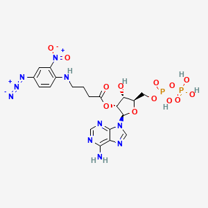 molecular formula C20H24N10O13P2 B1230690 Azidonitrophenylaminobutyryl-ADP CAS No. 76833-32-4
