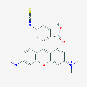 molecular formula C25H22N3O3S+ B1230719 Tetramethylrhodamine isothiocyanate Isomer R, powder 