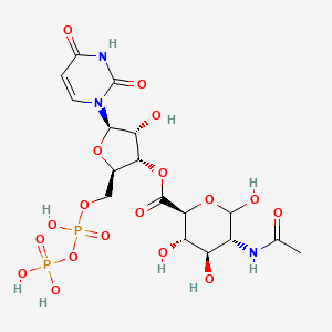 Udp-N-acetylglucosaminuronic acid