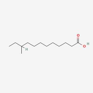 molecular formula C13H26O2 B1230805 10-Methyl lauric acid CAS No. 7416-57-1