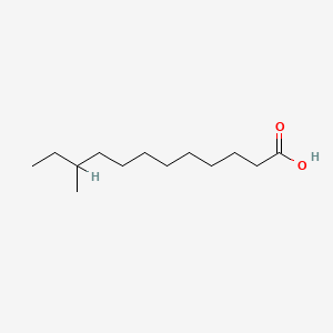 molecular formula C13H26O2 B1230805 10-Methyldodecanoic acid CAS No. 7416-57-1