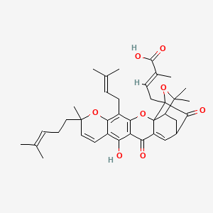 molecular formula C38H44O8 B1230863 Isogambogic acid 