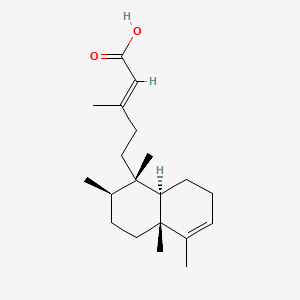 molecular formula C20H32O2 B1230916 Kolavenic acid CAS No. 25436-90-2