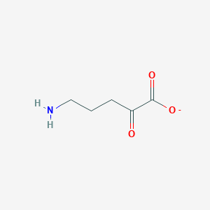 molecular formula C5H8NO3- B1230927 5-amino-2-oxopentanoate 