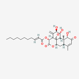 molecular formula C31H42O9 B1230971 11,20-Epoxy-1,11,12-trihydroxy-15-(2-undecenoyl)oxypicras-3,13(21)-diene-2,16-dione CAS No. 87790-39-4