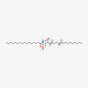 molecular formula C34H65NO3 B1230974 N-[(4E,8E)-1,3-dihydroxyoctadeca-4,8-dien-2-yl]hexadecanamide CAS No. 124787-56-0