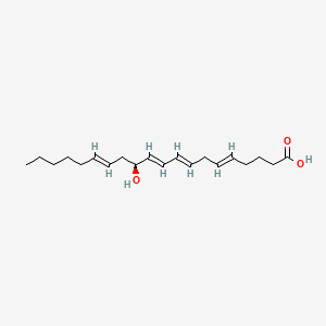 (5E,8E,10E,12S,14E)-12-hydroxyicosa-5,8,10,14-tetraenoic acid