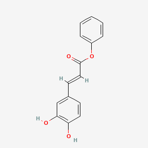 molecular formula C15H12O4 B1231146 phenyl (E)-3-(3,4-dihydroxyphenyl)prop-2-enoate 