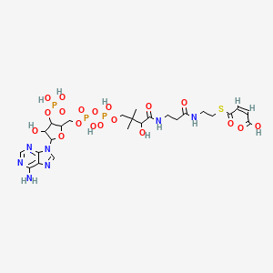 molecular formula C25H38N7O19P3S B1231267 Maleyl-CoA CAS No. 54377-18-3