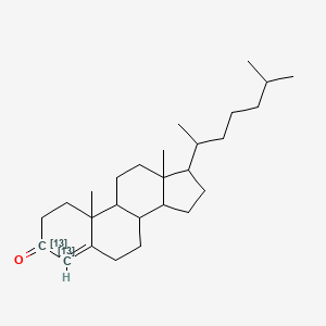 molecular formula C27H44O B12313365 4-Cholesten-3-one-3,4-13C2 
