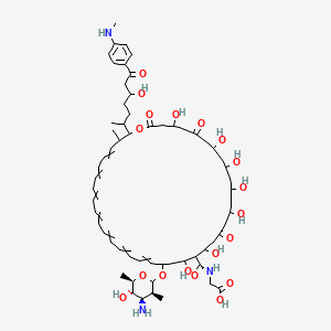 2-[[22-[(3S,4R,5S,6R)-4-amino-5-hydroxy-3,6-dimethyloxan-2-yl]oxy-4,8,10,12,14,18,20-heptahydroxy-38-[5-hydroxy-7-[4-(methylamino)phenyl]-7-oxoheptan-2-yl]-37-methyl-2,6,16-trioxo-1-oxacyclooctatriaconta-23,25,27,29,31,33,35-heptaene-19-carbonyl]amino]acetic acid