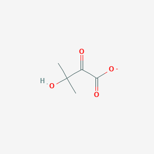 3-Hydroxy-3-methyl-2-oxobutanoate