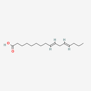 molecular formula C16H28O2 B1231422 9,12-Hexadecadienoic acid CAS No. 20261-45-4