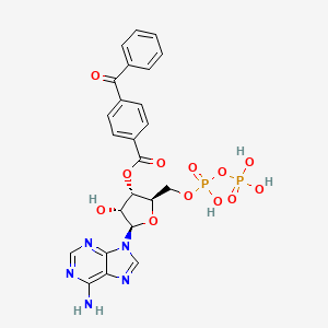 3'-O-(4-Benzoyl)benzoyladenosine diphosphate