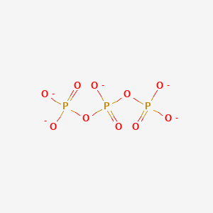 molecular formula H5O10P3 B1232095 Triphosphate(5-) CAS No. 14127-68-5