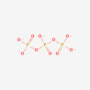 molecular formula O10P3-5 B1232095 Triphosphate(5-) CAS No. 14127-68-5