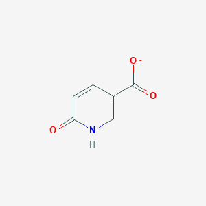 molecular formula C6H4NO3- B1232126 6-Hydroxynicotinate(1-) 