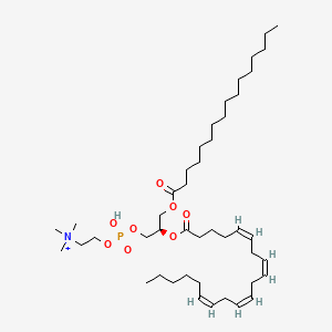 1-Palmitoyl-2-arachidonyl-phosphatidylcholine
