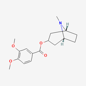 molecular formula C17H23NO4 B1232247 3,4-dimethoxybenzoic acid [(1R,5R)-8-methyl-8-azabicyclo[3.2.1]octan-3-yl] ester 
