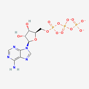molecular formula C10H12N5O13P3-4 B1232274 Adenosinetriphosphate 