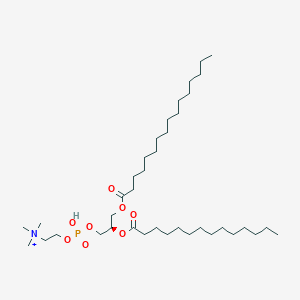 molecular formula C38H77NO8P+ B1232366 (1-Hexadecanoyl-2-tetradecanoyl-glycerol-3-YL) phosphonyl choline 