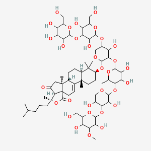 molecular formula C65H104O31 B1232368 Parvimoside B 