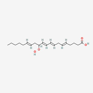 molecular formula C20H32O4 B1232372 12-Hydroperoxy-5,8,10,14-eicosatetraenoic acid 