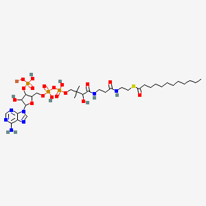 molecular formula C33H57LiN7O17P3S B12324723 Lauroyl coenzyme A C12 
