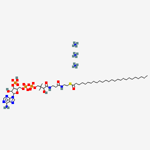 molecular formula C47H95N10O17P3S B12325767 hexacosanoyl Coenzyme A (ammonium salt) 