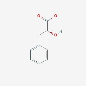 molecular formula C9H9O3- B1232603 (R)-3-phenyllactate 
