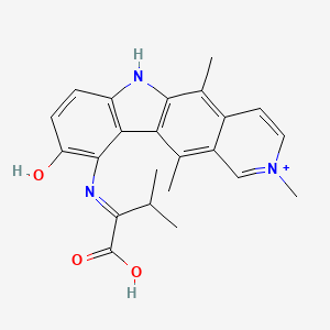 molecular formula C23H24N3O3+ B1232606 6H-Pyrido(4,3-b)carbazolium, 10-((1-carboxy-2-methylpropylidene)amino)-9-hydroxy-2,5,11-trimethyl- CAS No. 89683-26-1