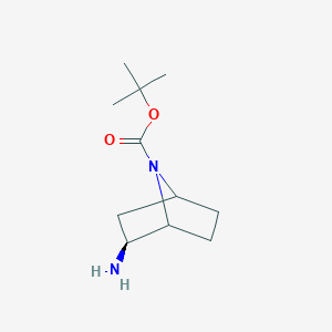 molecular formula C11H20N2O2 B12326644 tert-butyl (2S)-2-amino-7-azabicyclo[2.2.1]heptane-7-carboxylate 