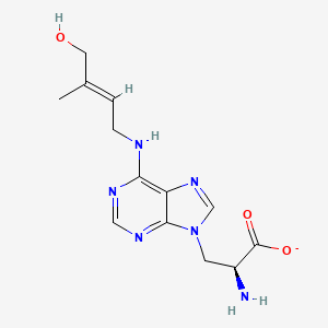 molecular formula C13H17N6O3- B1232748 L-lupinate 