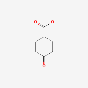 molecular formula C7H9O3- B1232831 4-Oxocyclohexanecarboxylate 