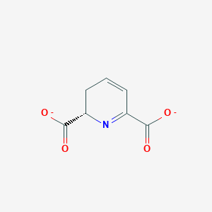 molecular formula C7H5NO4-2 B1232832 (S)-2,3-dihydrodipicolinate 