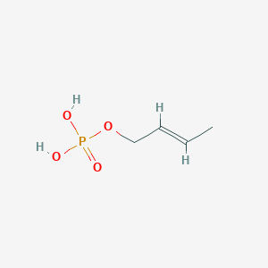 molecular formula C4H9O4P B1232856 Crotyl phosphate CAS No. 35974-86-8