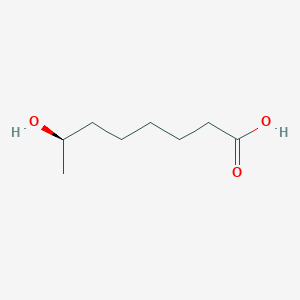 molecular formula C8H16O3 B1232908 (7R)-7-hydroxyoctanoic acid 