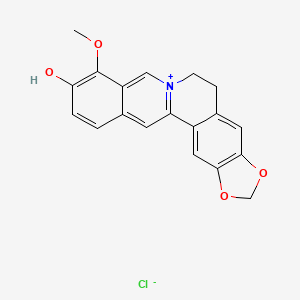 molecular formula C19H16ClNO4 B1232911 Thalifendine chloride 