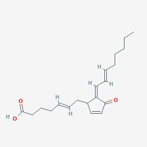 molecular formula C20H28O3 B1232914 (5Z)-11-Oxoprosta-5,9,12,14-tetraene-1-oic acid 