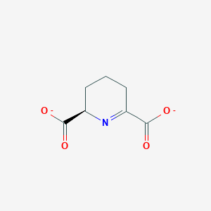 molecular formula C7H7NO4-2 B1232929 (R)-2,3,4,5-tetrahydrodipicolinate(2-) 