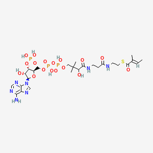 molecular formula C26H42N7O17P3S B1233182 {[(2R,3S,4R,5R)-5-(6-amino-9H-purin-9-yl)-4-hydroxy-2-({[hydroxy({hydroxy[3-hydroxy-2,2-dimethyl-3-({2-[(2-{[(2E)-2-methylbut-2-enoyl]sulfanyl}ethyl)carbamoyl]ethyl}carbamoyl)propoxy]phosphoryl}oxy)phosphoryl]oxy}methyl)oxolan-3-yl]oxy}phosphonic acid 