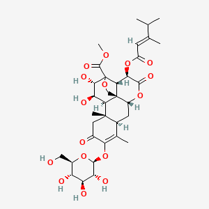 molecular formula C34H46O16 B1233333 Yadanzioside P 