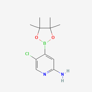 molecular formula C11H16BClN2O2 B12333670 2-Amino-5-chloropyridine-4-boronic acid pinacol ester CAS No. 1222522-38-4