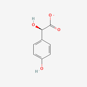 molecular formula C8H7O4- B1233475 (R)-4-Hydroxymandelate 