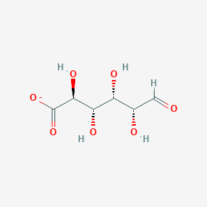 molecular formula C6H9O7- B1233595 aldehydo-D-glucuronate 