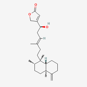molecular formula C25H38O3 B1233636 Thorectandrol D 